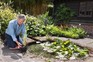 Alan adding plant to pond