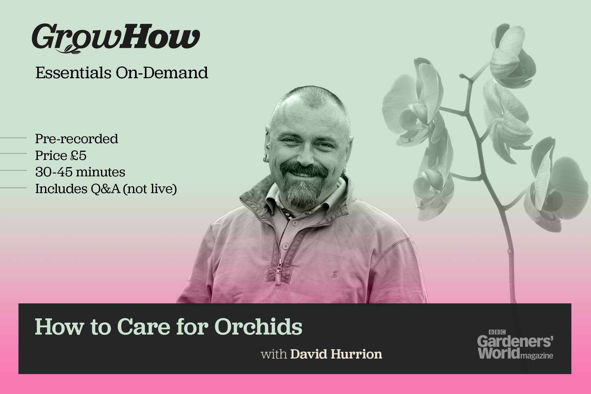 Essentials On-Demand: Orchid Care