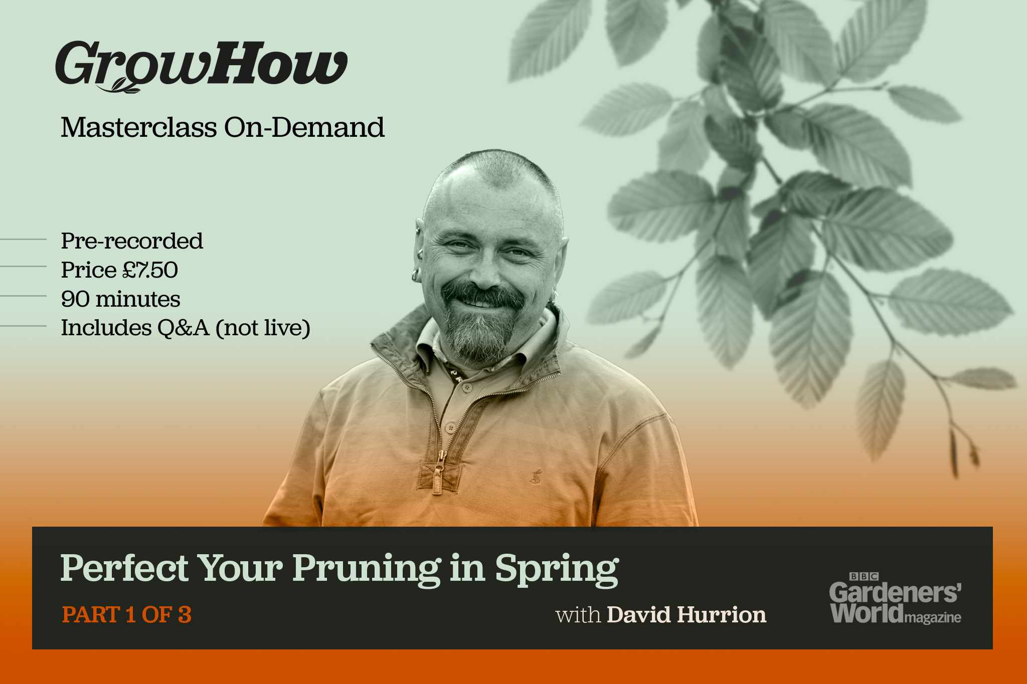 On-Demand Masterclass: Pruning in Spring
