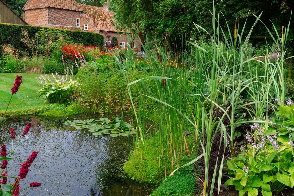 Reduce your carbon footprint - dig a pond. Getty Images