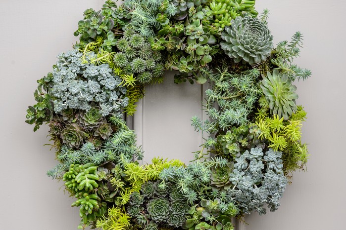 How to make a living wreath