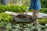 Five reasons to feed your soil