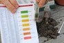Identify your soil type and pH