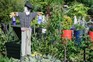 Scarecrow at BBC Gardeners' World Live