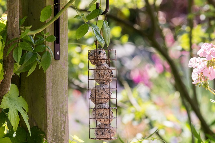 Types of bird food - fat balls in a hanging feeder