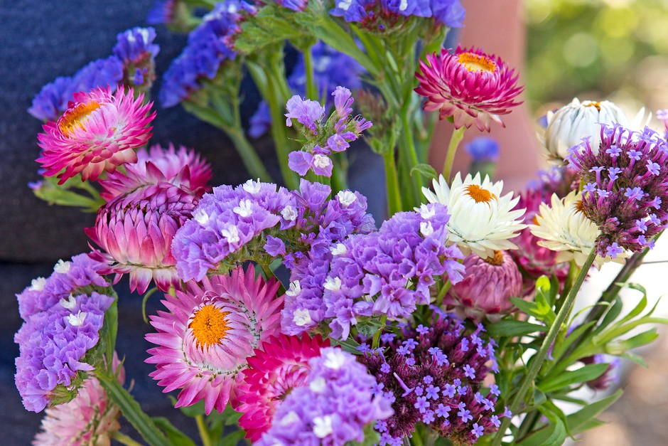 Mixed bunch of flowers including strawflowers