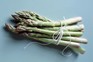 Asparagus spears tied with string