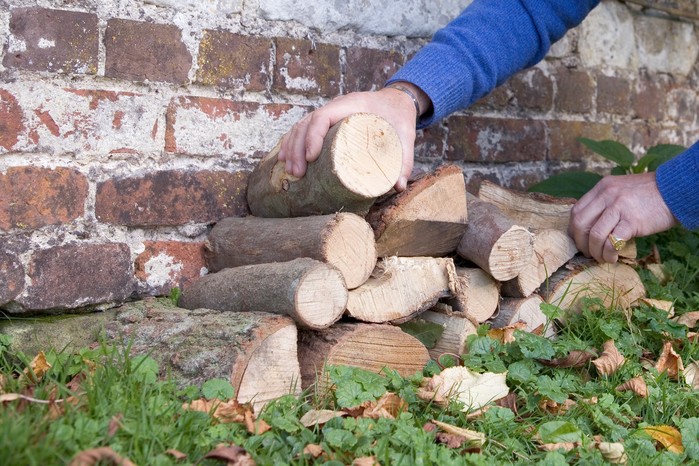 Creating a wood stack for wildlife