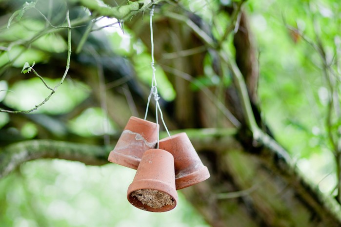 Terracotta pot bird feeder