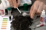 How to test your soil pH