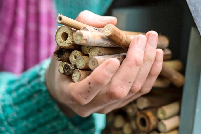 How to make a bee hotel