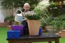 Planting in pots