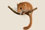 An illustration of a tawny dormouse with a fluffy tail sitting on a branch