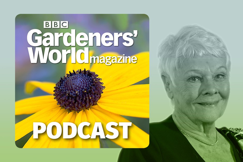 BBC Gardeners' World Magazine podcast with Judi Dench
