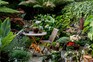 Real garden: Juan Carlos Cure's tiny tropical courtyard
