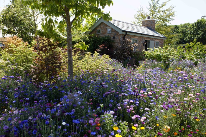 The Show Gardens are a delight to behold and brimming with ideas for your garden