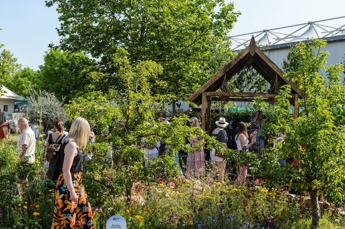 Take a guided tour of the show gardens, with the opportunity to ask questions