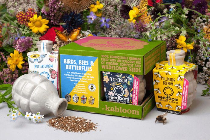 Seedbom Birds, Bees and Butterflies Seed Bombs - BBC Gardeners' World Magazine