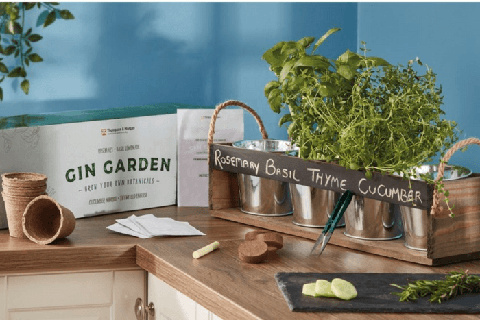 Thompson & Morgan Gin Garden Gift Set - BBC Gardeners' World Magazine