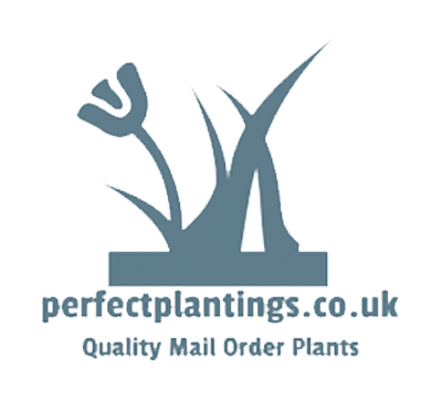 Perfect Plantings logo