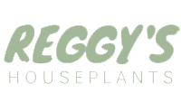 Reggys-house-plants